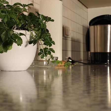 Appartement Maria エック エクステリア 写真