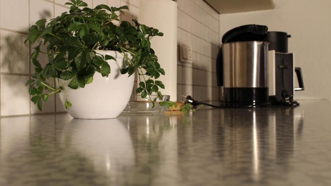 Appartement Maria エック エクステリア 写真